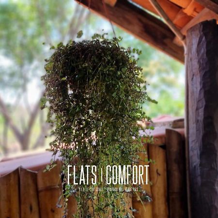 Novidade Flats Comfort Na Vila De Sao Jorge - Chapada Dos Veadeiros Hotel Ngoại thất bức ảnh